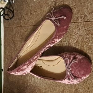 Circus by Sam Edelman ballet flats